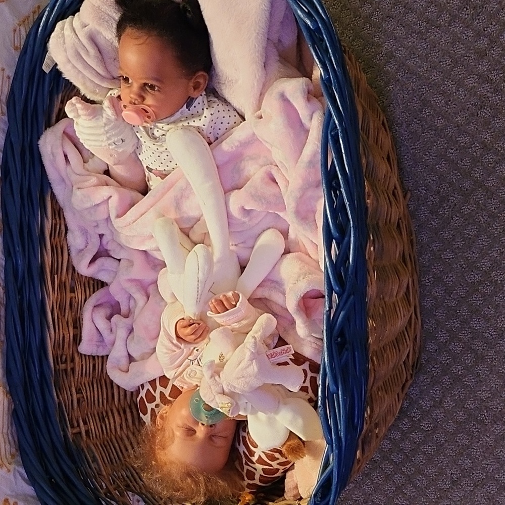 Reborn Babies...